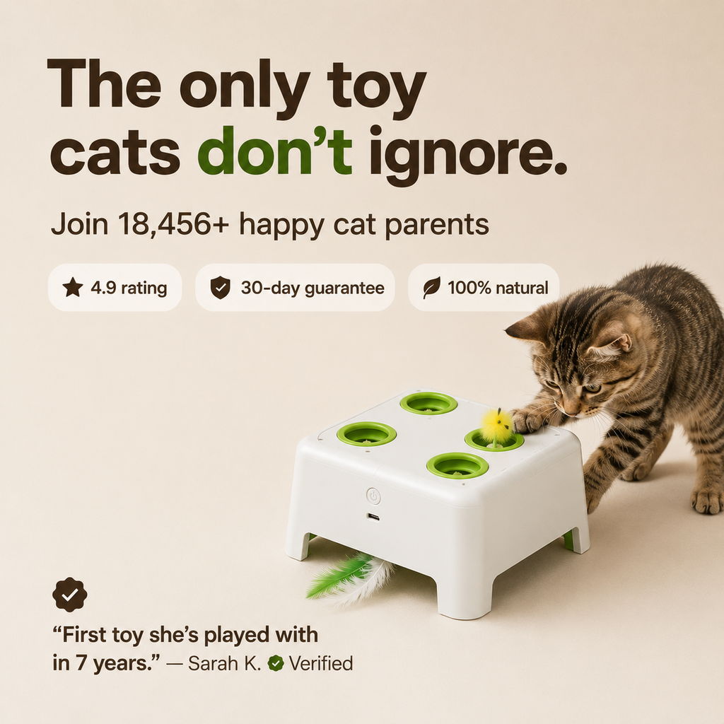 whiskers pounce n' play