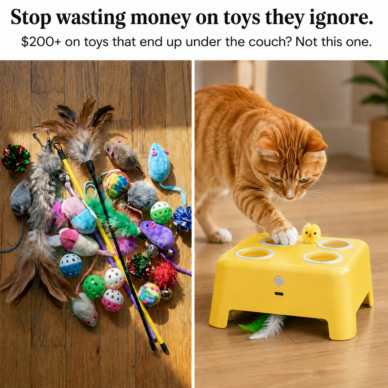 whiskers pounce n' play