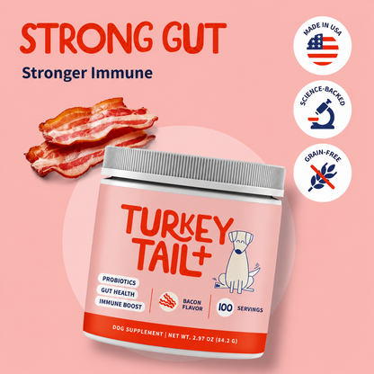Turkey tail immune boost+