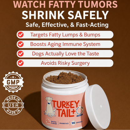Turkey tail immune boost+